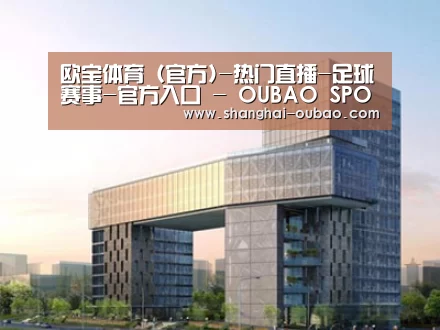 案例展示四