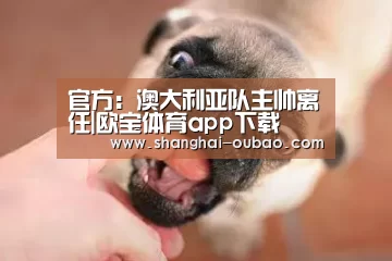 官方：澳大利亚队主帅离任|欧宝体育app下载